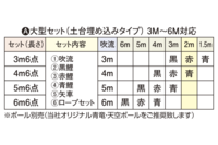 （５５）鳳凰鯉（ ジャガード）