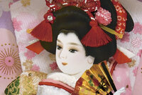 （１３）　９号幸彩（白紫）